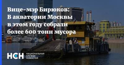 Вице-мэр Бирюков: В акватории Москвы в этом году собрали более 600 тонн мусора