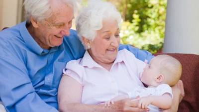 Права бабушек и дедушек при нахождении с внуками — прямая трансляция обсуждения нового закона
