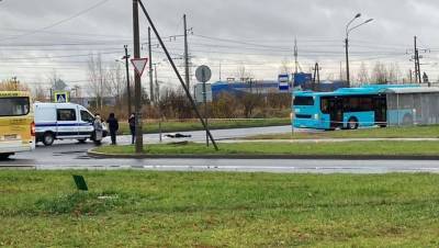 В Петербурге мужчина погиб после нападения на рейсовый автобус с ножом