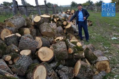 В Буйнакском районе Дагестана выявлены факты незаконного производства древесного угля - mirmol.ru - респ. Дагестан - район Буйнакский - Экология