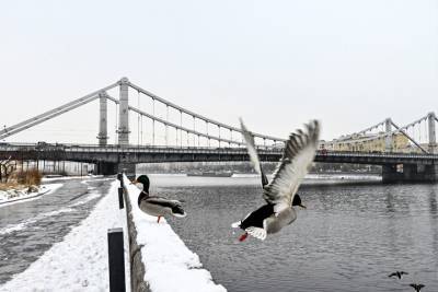 Зимой на дежурство по водоемам Москвы выйдут 26 судов на воздушной подушке