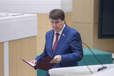 Сенатор объяснил применение Украиной турецкого БПЛА в Донбассе показом силы