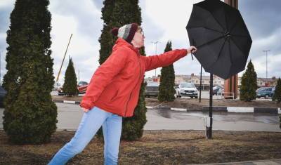 МЧС предупреждает тюменцев о штормовом ветре и мокром снеге с дождём