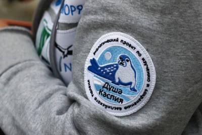 Россияне захотели спасти в Астрахани самого маленького тюленя на планете