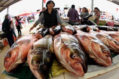 Китай ввел запрет на ввоз морепродуктов из России