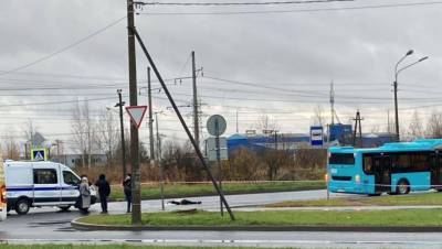 Опубликовано видео с места гибели напавшего на автобус петербуржца