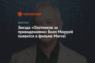 Звезда «Охотников за привидениями» Билл Мюррей появится в фильме Marvel