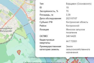 Подготовлена карта борщевика Костромского района