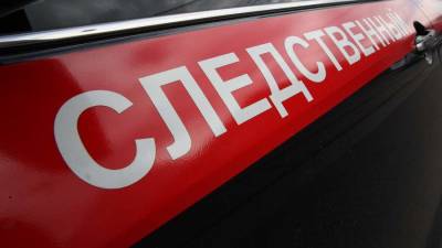 Упавшее дерево насмерть задавило младенца в коляске в Московской области