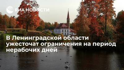 В Ленинградской области ужесточат ограничения на период нерабочих дней с 30 октября