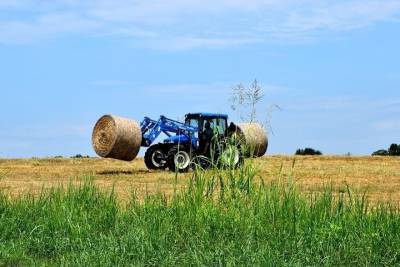 В Татарстане скотник на тракторе насмерть задавил работницу фермы