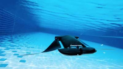 Подводных дронов научили ориентироваться в мутной воде с помощью электромагнитной локации