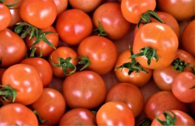 Россия вернула в Беларусь 159 тонн зараженных томатов и перцев