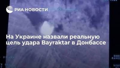 Украинский журналист Гужва назвал реальную цель удара Bayraktar в Донбассе