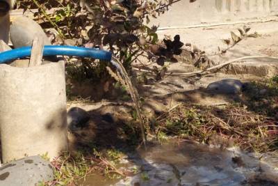 «Эту воду даже коровы и собаки не хотели пить»: ситуация с водоснабжением в Наримановском районе начала налаживаться