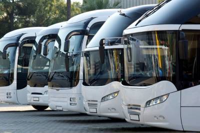 В Петербурге с 2022 года запустят более 90 новых автобусных маршрутов