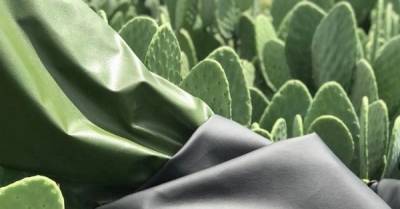 Экомода: Украинский бренд Marsala создал босоножки из кактусовой кожи