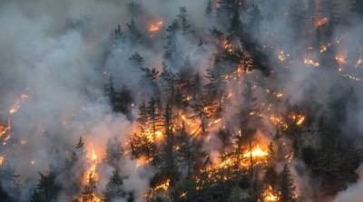 В австрийских Альпах вспыхнул масштабный лесной пожар