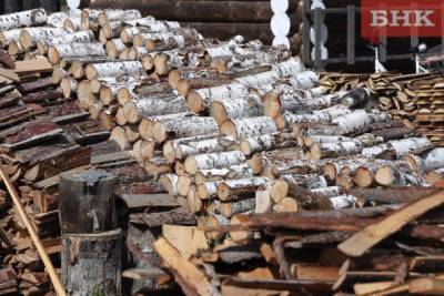 Прокуратура Коми увидела угрозу конкуренции в заготовке дров для школ и детских садиков