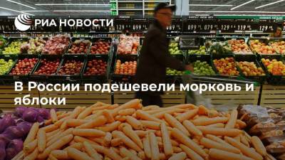 В России за неделю морковь подешевела на 0,13%, яблоки — на 1,12%