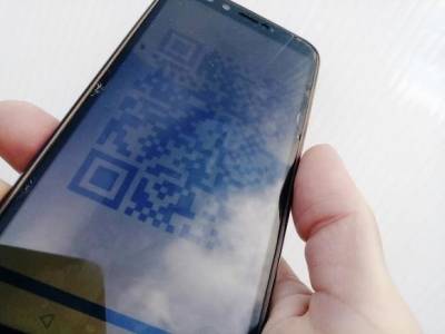 В Смольном обещают решить проблему QR-кодов для пожилых петербуржцев