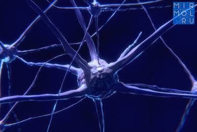 Западные медики сообщают, что COVID-19 напрямую повреждает клетки мозга человека - mirmol.ru - Германия - Франция - Испания