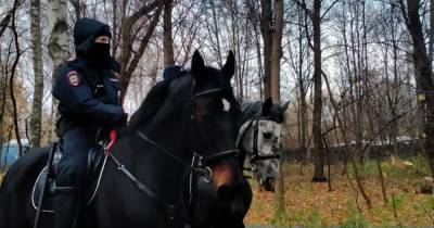 Фото пары полицейских на конях восхитило россиян