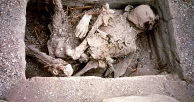 Ученые раскрыли загадку происхождения Таримских мумий из Китая