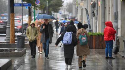 «Возвращается тепло»: синоптики рассказали о погоде в Москве 28 октября