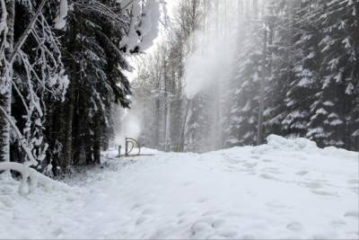 Для лыжных трасс в Коми потребовался искусственный снег