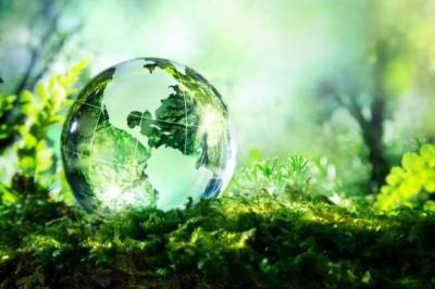 Россельхозбанк создает Фонд «Экология» поддержки устойчивого развития АПК