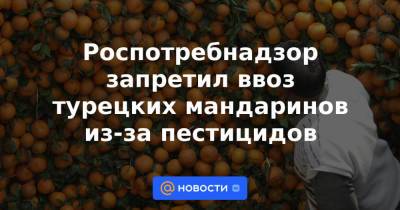 Роспотребнадзор запретил ввоз турецких мандаринов из-за пестицидов