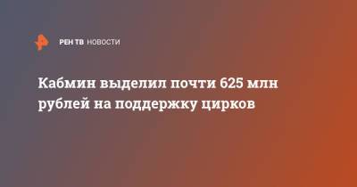 Кабмин выделил почти 625 млн рублей на поддержку цирков из-за COVID