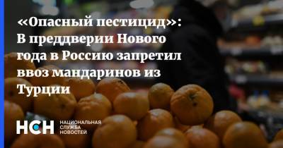 «Опасный пестицид»: В преддверии Нового года в Россию запретил ввоз мандаринов из Турции