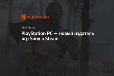 PlayStation PC — новый издатель игр Sony в Steam