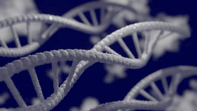 Ученые из Колорадского университета смогли определить тяжесть течения COVID-19 по ДНК