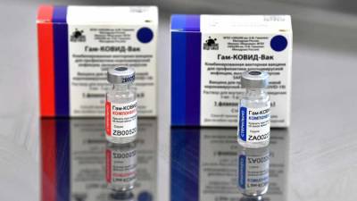 Гинцбург заявил, что «Спутник V» и назальная вакцина могут защитить от коронавируса на 100%