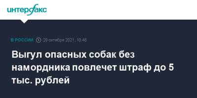 Выгул опасных собак без намордника повлечет штраф до 5 тыс. рублей - interfax.ru - Москва - Россия