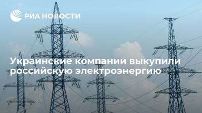 Восемь украинских компаний выкупили электроэнергию, доступную для импорта из России