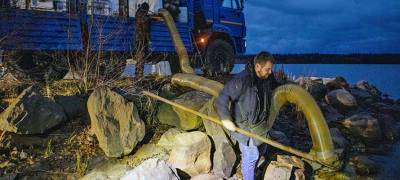 В Карелии компания выпустила в Ладогу молодь сига в качестве компенсации ущерба - stolicaonego.ru - район Беломорский - республика Карелия