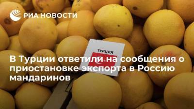 Минсельхоз Турции: приостановка экспорта в Россию мандаринов касается одной компании