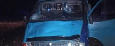 В Нижегородской области водитель «ГАЗели» насмерть сбил двух человек