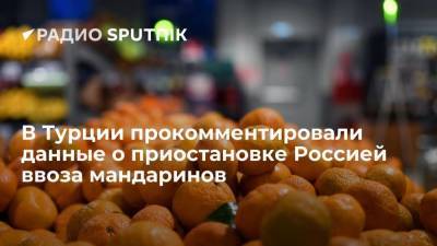 В турецком ведомстве отреагировали на сообщение о приостановке экспорта в Россию мандаринов