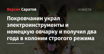 Покровчанин украл электроинструменты и немецкую овчарку и получил два года в колонии строгого режима