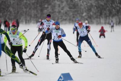 Традиционный лыжный марафон пройдет в Токсово в феврале 2022 года