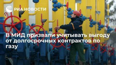 Замглавы МИД Панкин: партнеры России должны учитывать риски волатильности на рынке газа