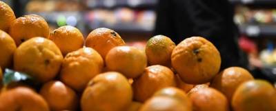 Минсельхоз Турции: приостановка поставок мандаринов в Россию коснется одной компании