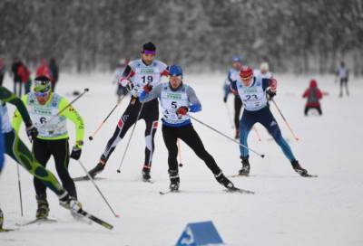 Ленобласть начала подготовку к лыжному марафону «Toksovo Cup-2022»