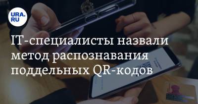 IT-специалисты назвали метод распознавания поддельных QR-кодов