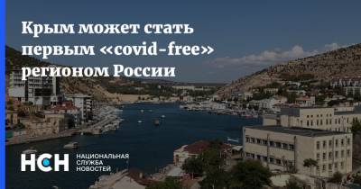 Крым может стать первым «covid-free» регионом России